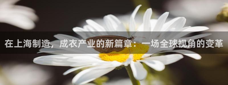 天辰臣娱乐
