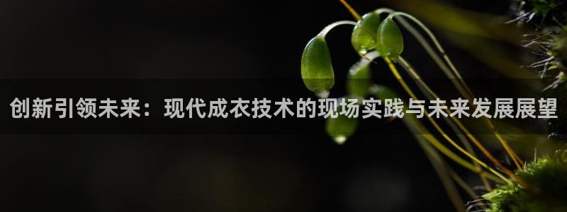 天辰娱乐官方网