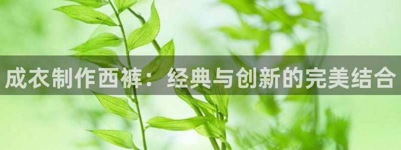 天辰娱乐新