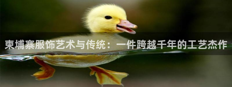 天辰娱乐传媒