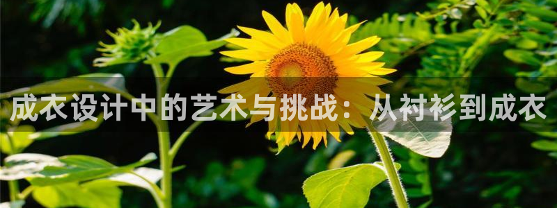 天辰娱乐好吗