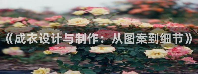 天辰娱乐海洋