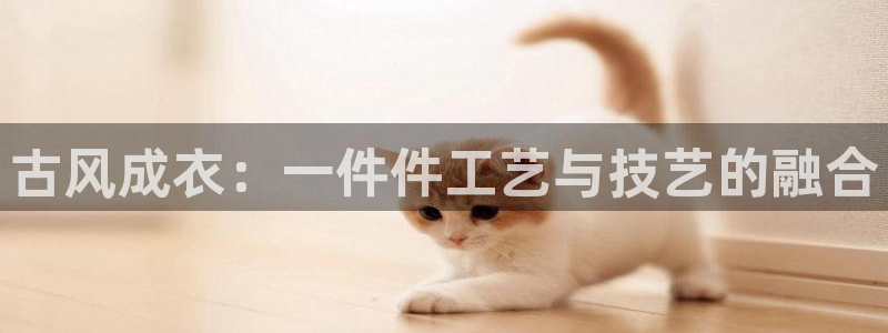 天辰娱乐所