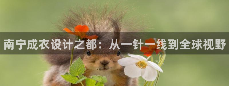 天辰娱乐白屏