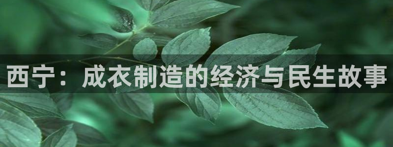 天辰娱乐会员