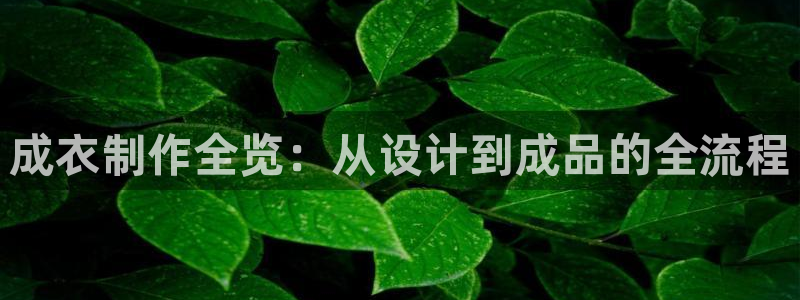 北京天辰娱乐