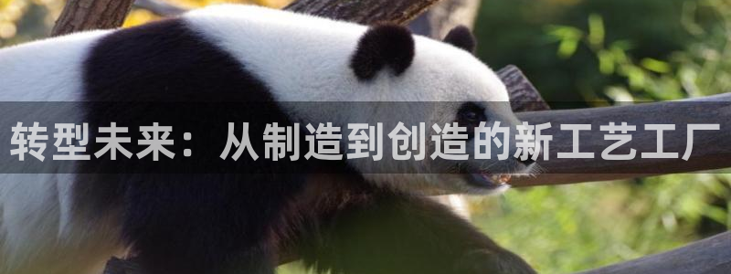 天辰娱乐557696