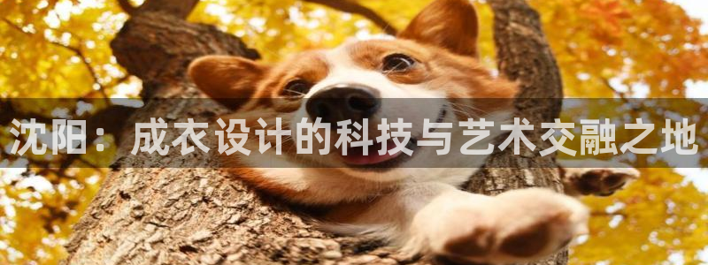 天辰娱乐传媒