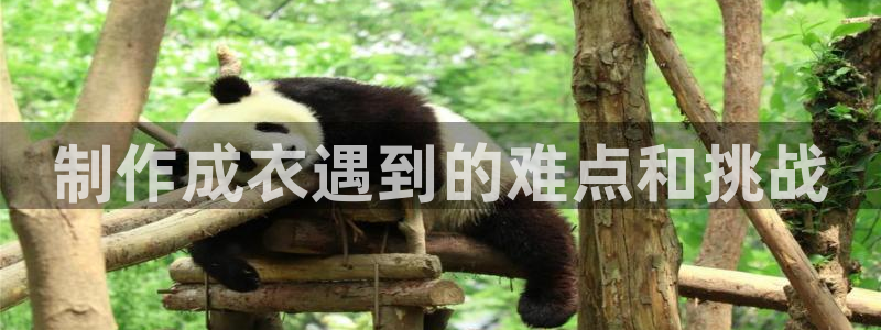 天辰娱乐_675138