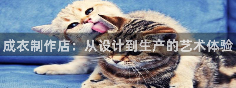 天辰娱乐简介