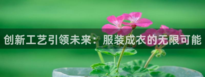 天辰娱乐51137