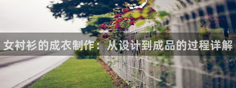 天辰娱乐51137