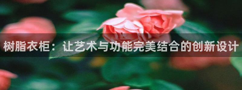 天辰娱乐app