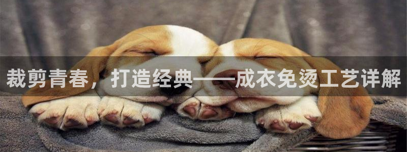 天辰娱乐入口