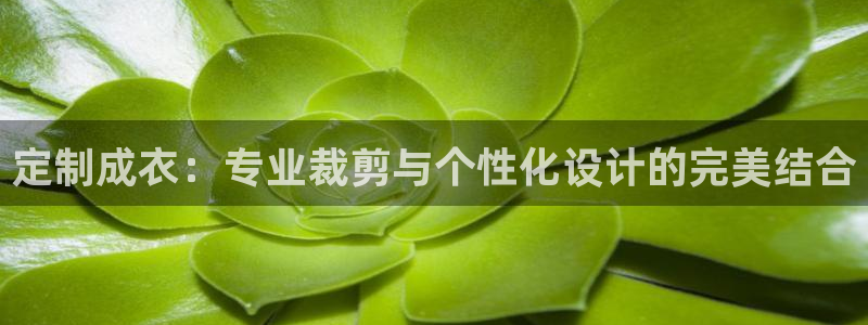 天辰娱乐黑人