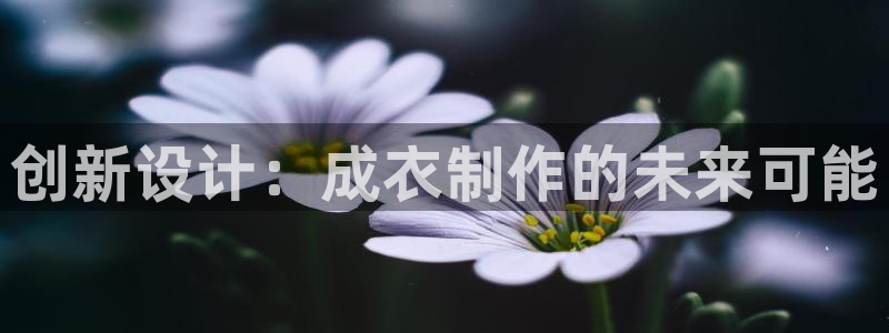 天辰娱乐_675138