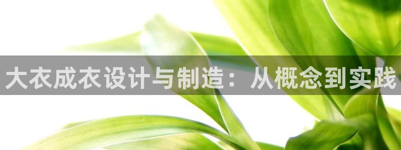 南京天辰娱乐