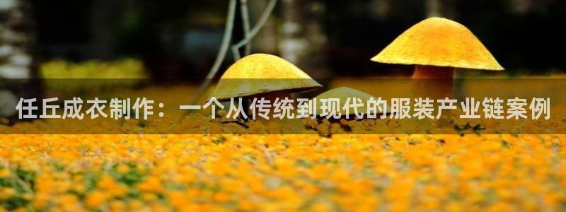 辰天娱乐