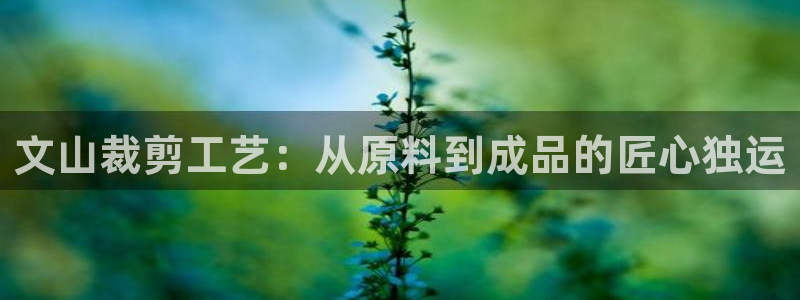 天辰娱乐直属