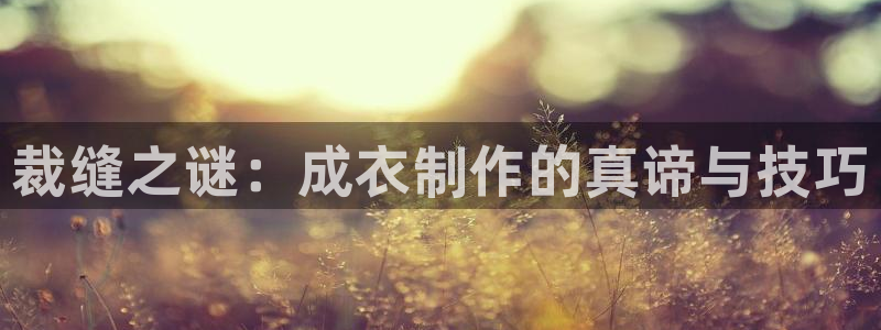 天辰宝娱乐