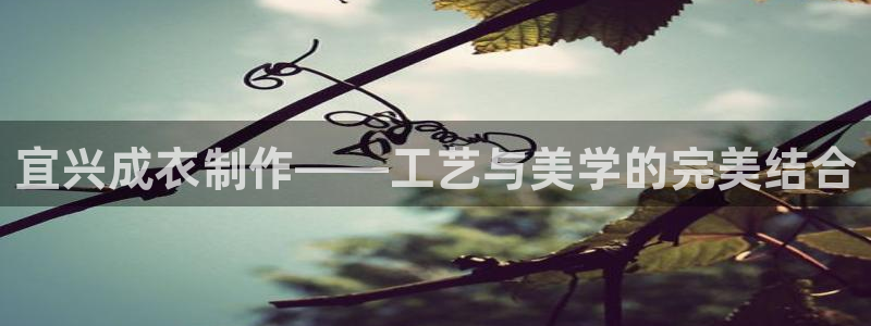 天辰娱乐ttf
