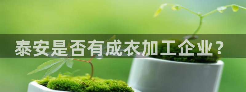 天辰娱乐_675138