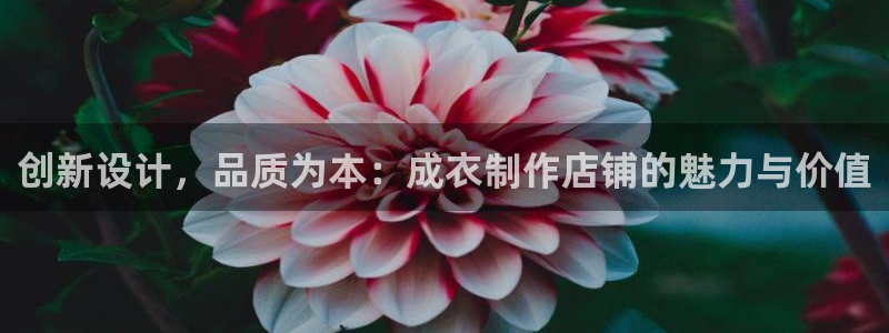 天辰娱乐44516