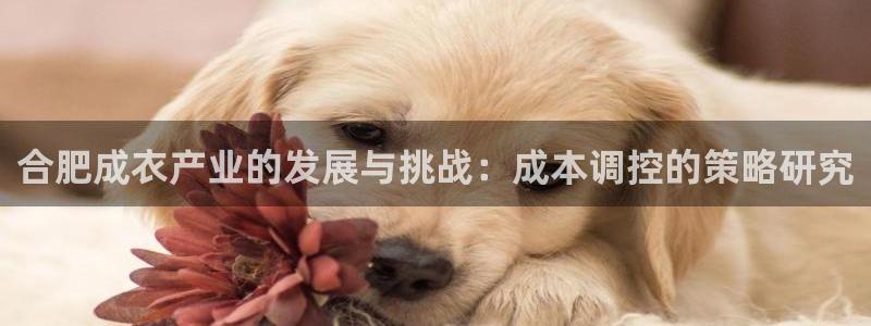 天辰娱乐61116