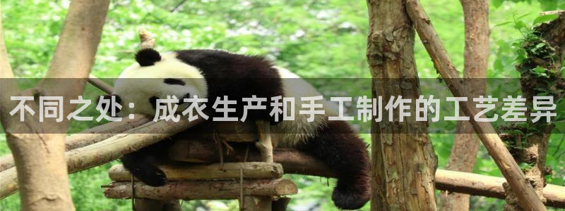 哈尔滨天辰娱乐