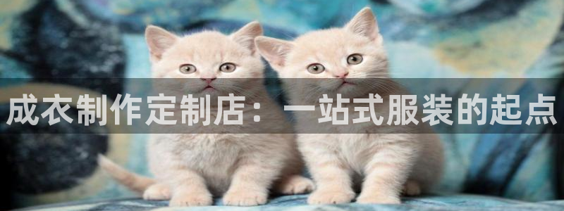 天辰娱乐小姐