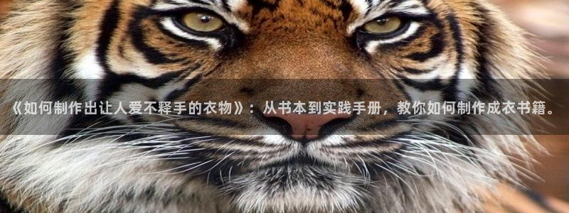 天辰娱乐在哪