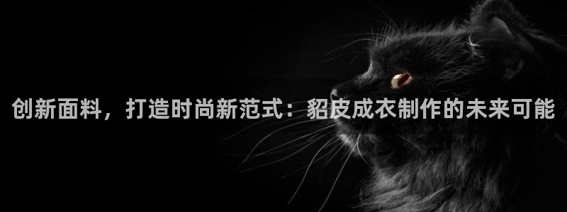 天辰娱乐国际