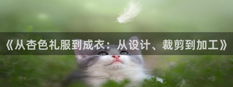 天辰娱乐简介