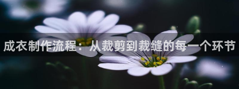 天辰娱乐公司