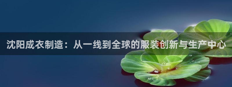 辰天娱乐用品