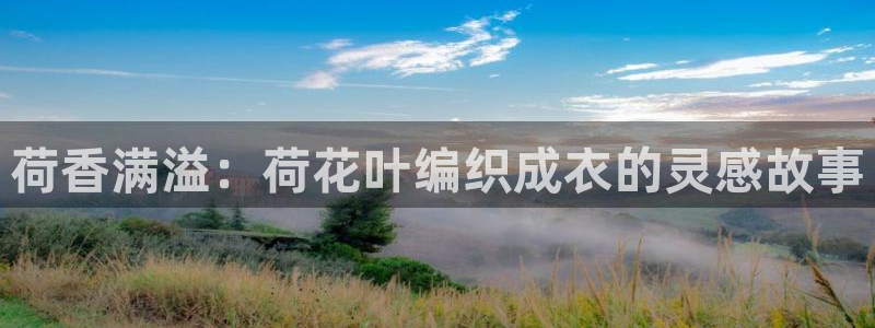 南充天辰娱乐