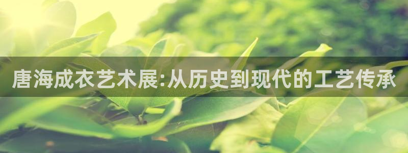 天辰娱乐2