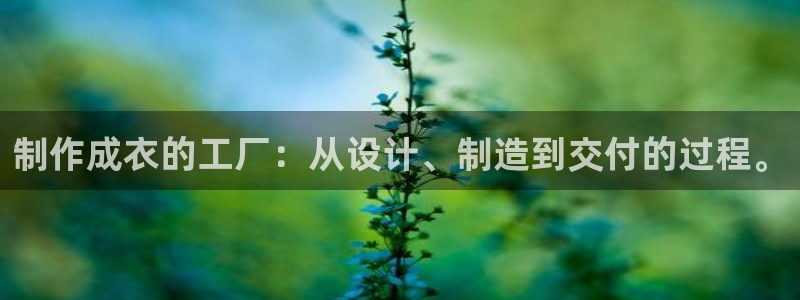 天辰娱乐675138