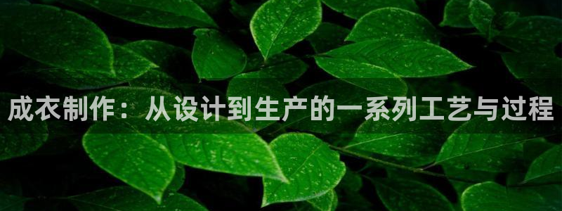 天辰娱乐股东