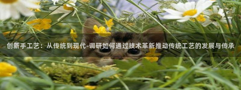 天辰国际娱乐
