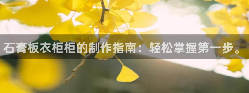 天辰娱乐内部