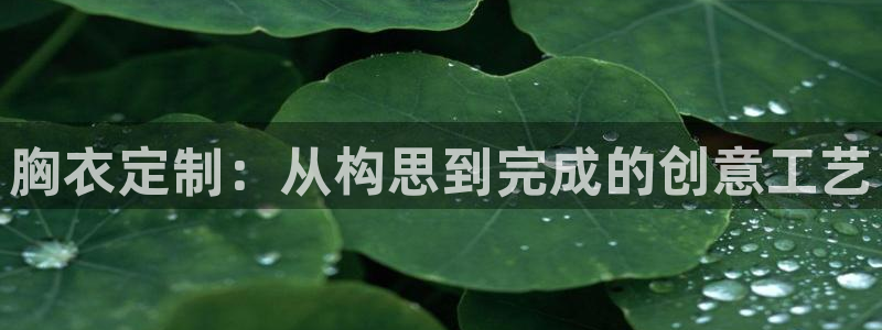 天辰娱乐tff