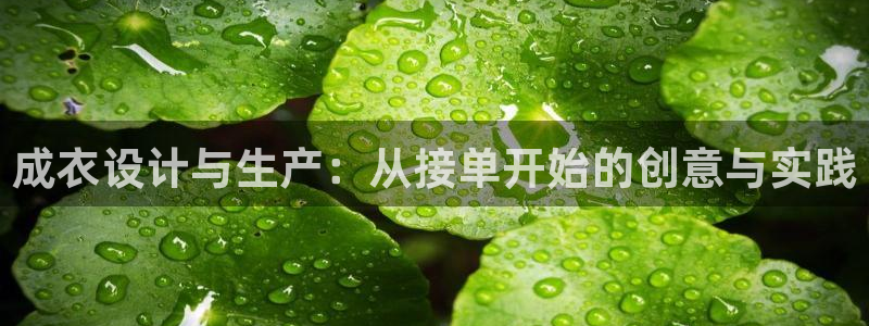天辰娱乐app