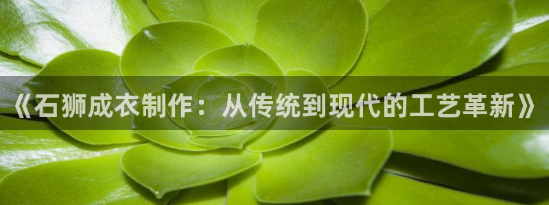 天辰娱乐黑人