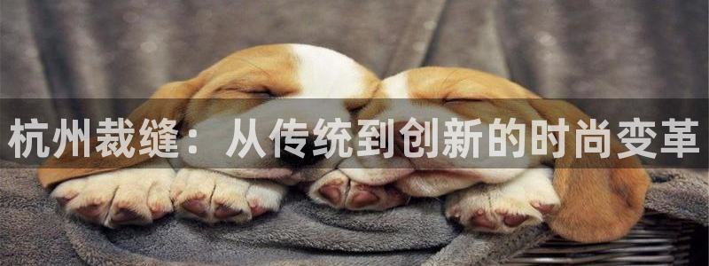 天辰娱乐服务