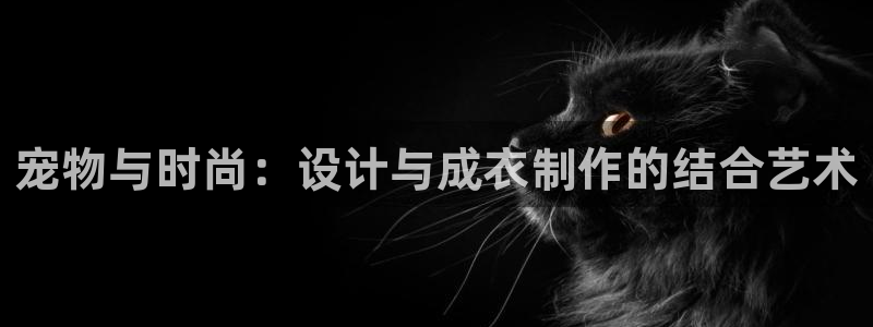 天辰娱乐棋牌