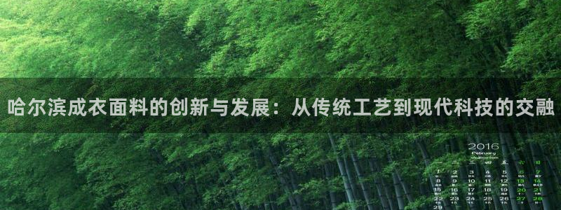 菲律宾天辰娱乐