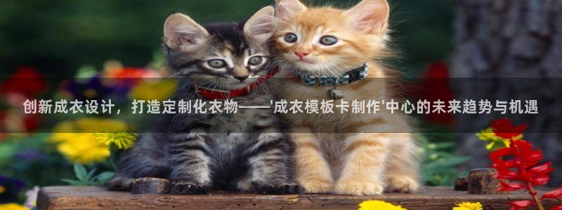 天辰娱乐代理