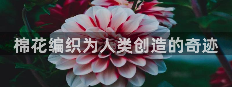 天辰娱乐957807