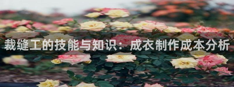 天辰娱乐481928